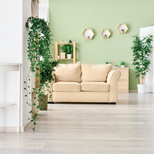 綠意盎然居家擺設